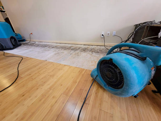 Professional Structural Drying technician working in Waynesville, NC
